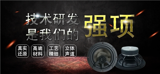 6.5寸碳纤盆/橡胶边100w高端汽车同轴喇叭 6.5寸碳纤盆/橡胶边100w高端汽车同轴喇叭
