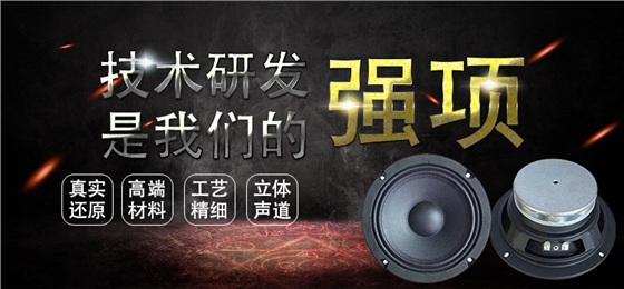 6.5寸中高音舞台音箱喇叭 6.5寸中高音舞台音箱喇叭
