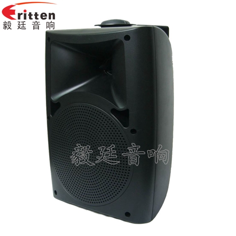 6.5寸墙壁音箱喇叭 6.5寸墙壁音箱喇叭