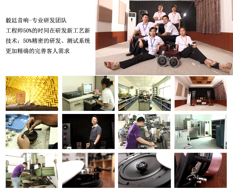 12寸300W汽车音响喇叭 12寸300W汽车音响喇叭