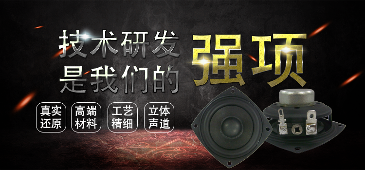 2.5寸10瓦蓝牙音箱全频喇叭